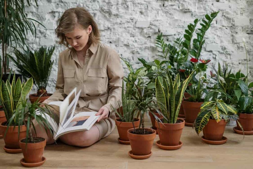 The-Complete-Guide-to-Home-Gardening.